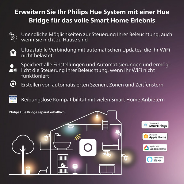Philips Hue Festavia Lichterkette 40m 500 LEDs