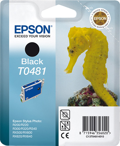 Epson Tintenpatrone T0481 Schwarz (13ml)