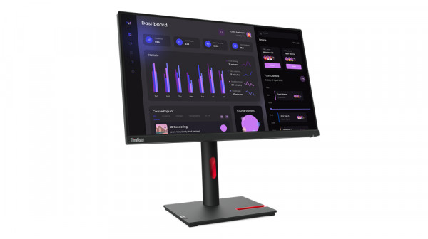 Lenovo ThinkVision T24i-30 - LED-Monitor