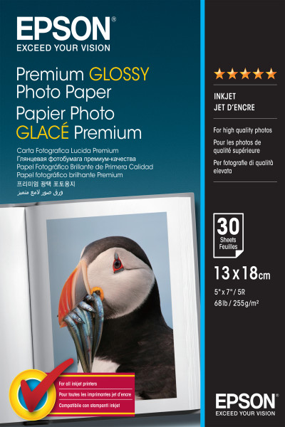 Epson Fotopapier Premium glänzend C13S042154 (13x18-30 Blatt)