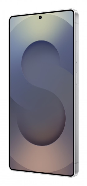 Samsung S938B Galaxy S25 Ultra 5G 256 GB (Titanium Silverb) EU