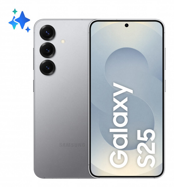 Samsung S931B Galaxy S25 5G 256 GB (Silver Shadow) EU