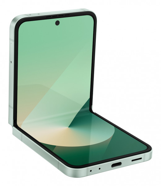 Samsung F741B Galaxy Z Flip6 5G 256 GB (Mint) EU